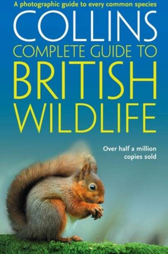 British Wildlife av Paul Sterry