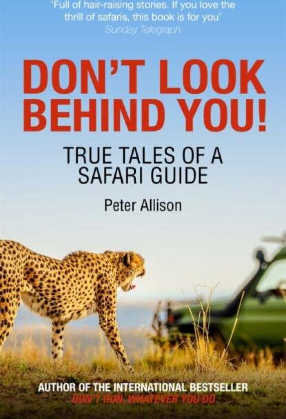 Don'T Look Behind You! Av Peter Allison