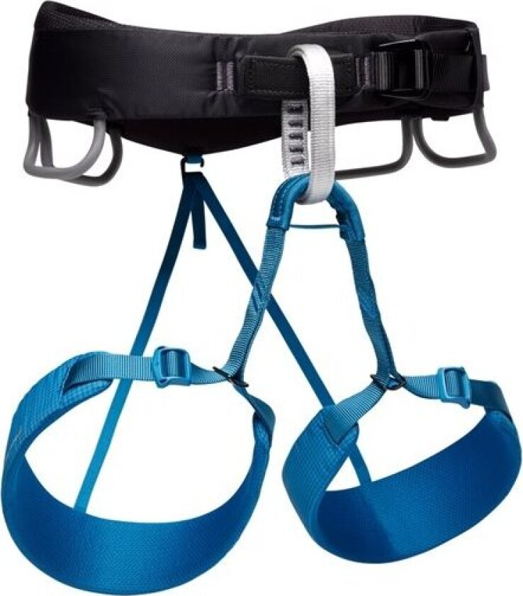 Momentum Harness M Kingfisher S