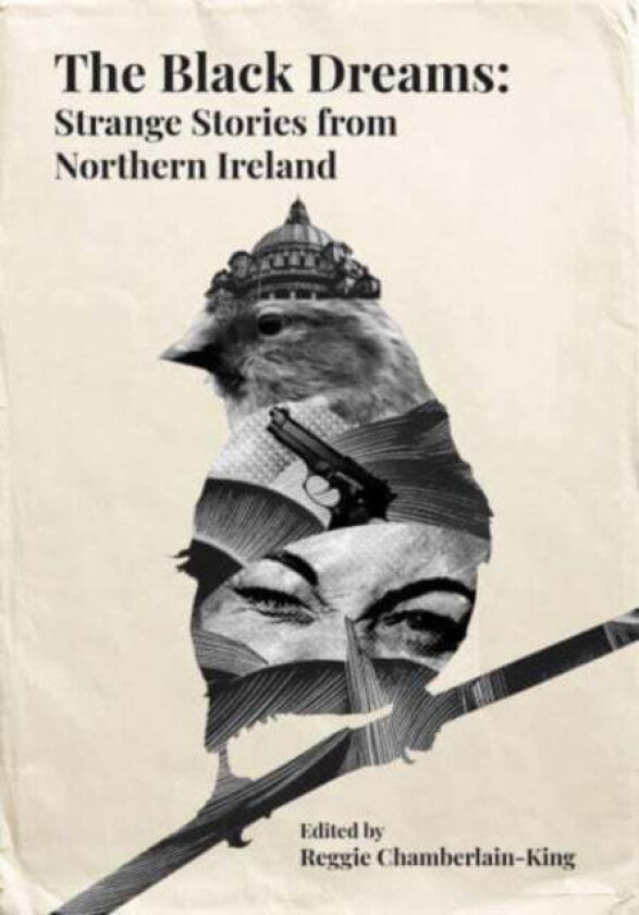 The Black Dreams av Ian Sansom, Jo Baker, Moyra Donaldson, Bernie McGill, Jan Carson, Ian McDonald, Sam Thompson, Michelle Gallen, Carlo Gebler