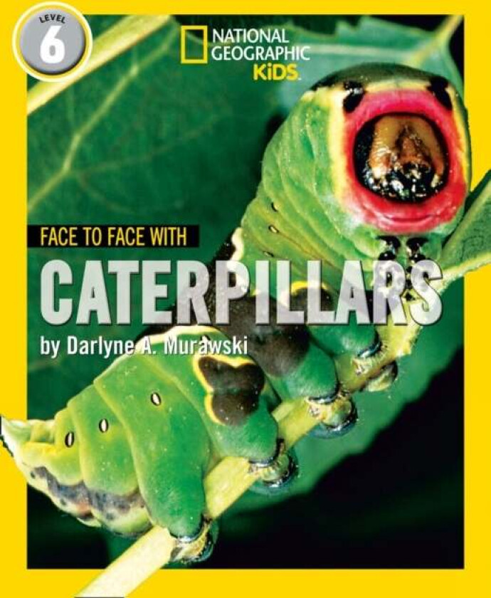 Face to Face with Caterpillars av Darlyne A. Murawski