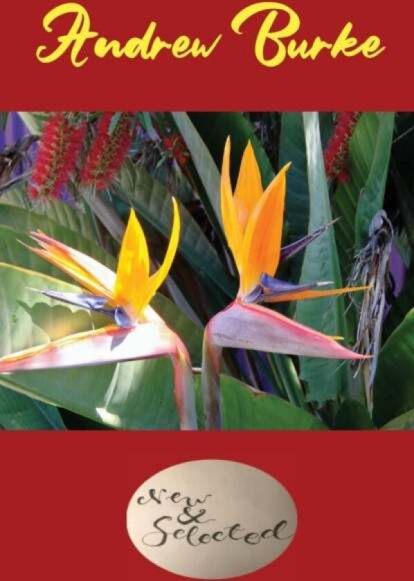 Andrew Burke New and Selected 2020 av Andrew Burke