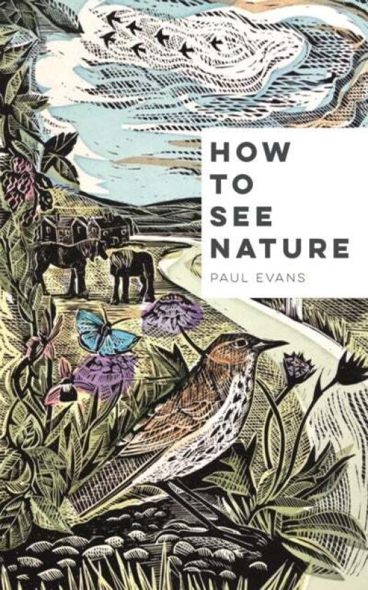 How to See Nature av Paul Evans