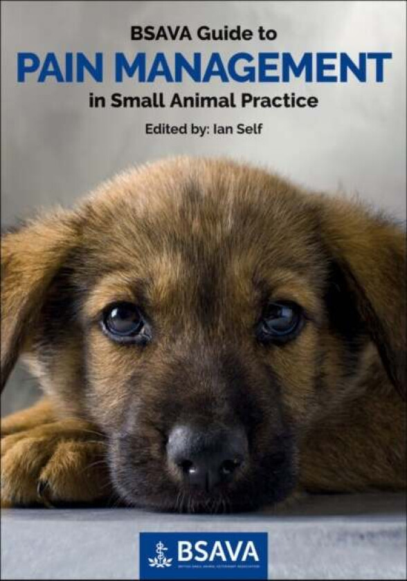 BSAVA Guide to Pain Management in Small Animal Practice av I Self