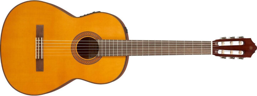 Cgx122ms Classic Guitar