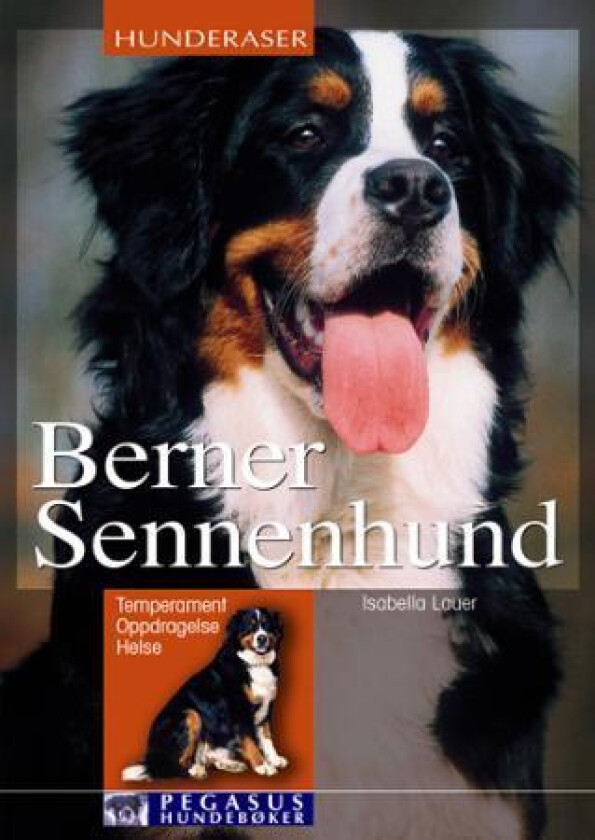 Berner sennenhund av Isabella Lauer