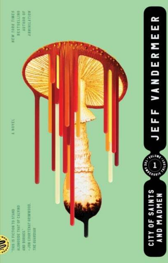 City of Saints and Madmen av Jeff VanderMeer