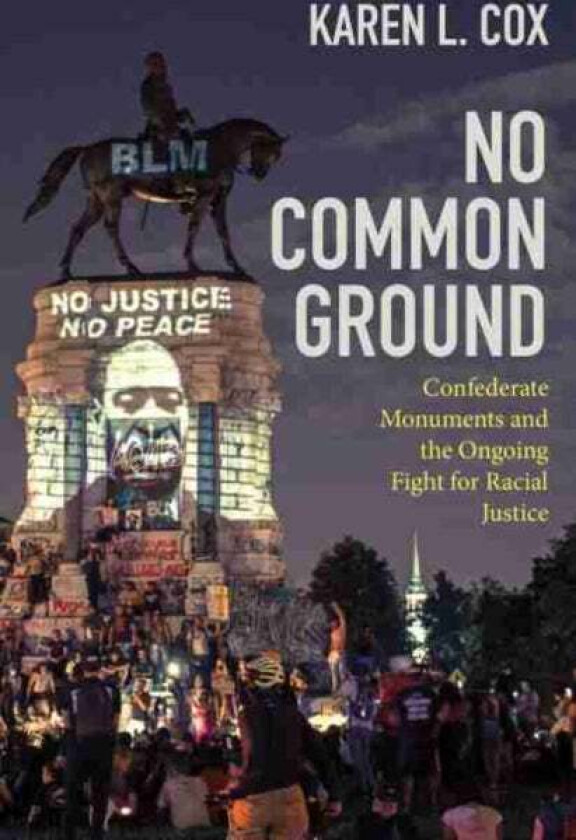 No Common Ground av Karen L. Cox