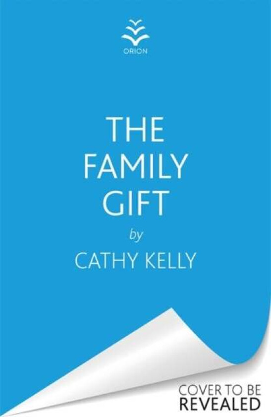 The Family Gift av Cathy Kelly