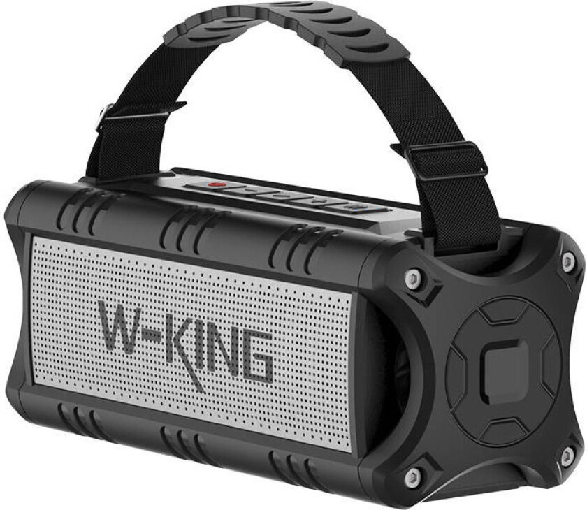 W-King D8 Mini Bluetooth-høyttaler m/håndtak (30W) Sort