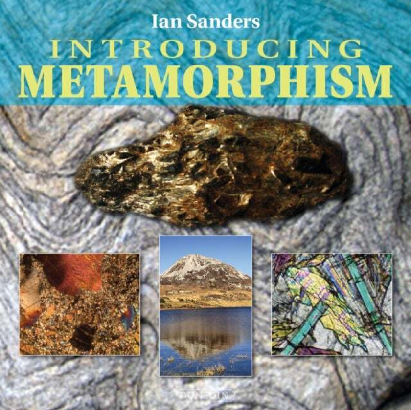 Introducing Metamorphism av Ian Sanders