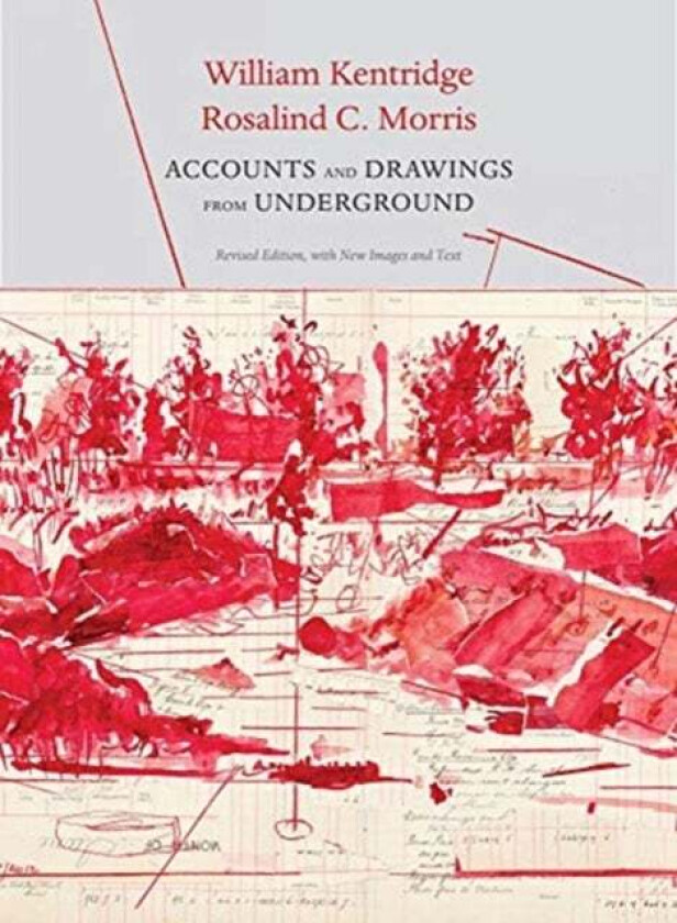 Accounts and Drawings from Underground av William Kentridge, Rosalind C Morris