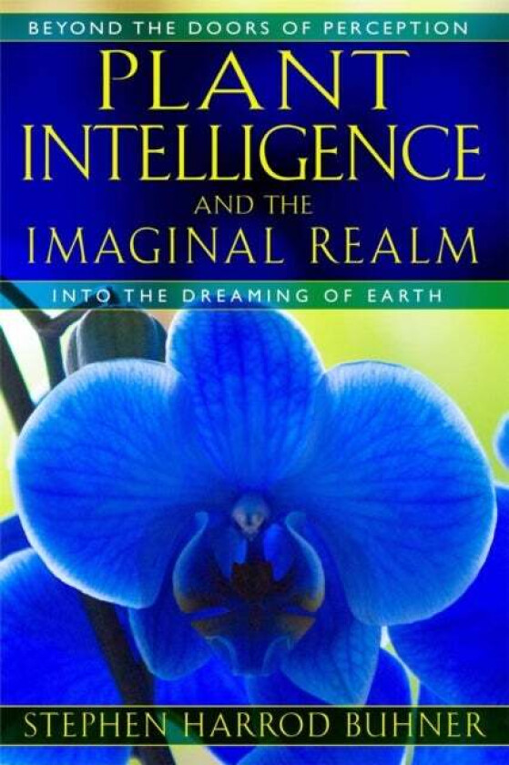 Plant Intelligence and the Imaginal Realm av Stephen Harrod Buhner