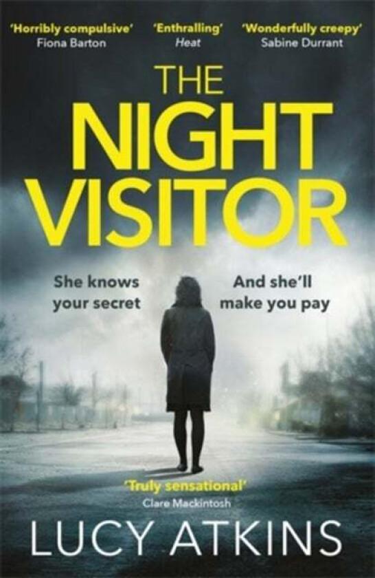 The Night Visitor av Lucy Atkins