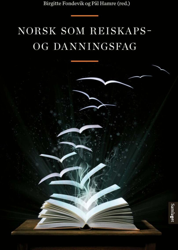 Norsk som reiskaps- og danningsfag