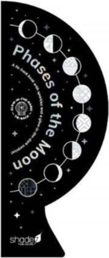 Phases of the Moon av Hajera Memon