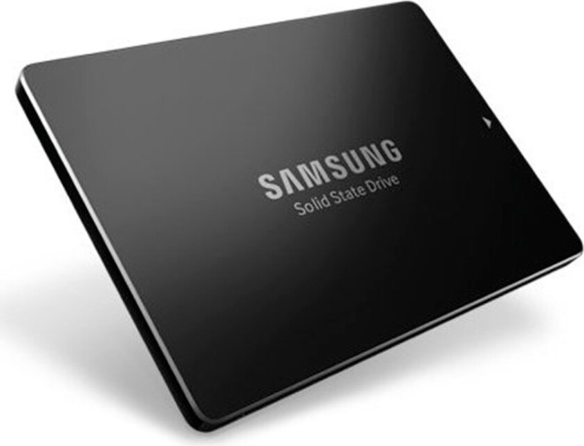 PM883 Ent SSD Harddisk 1,9TB (SATA-600) 2,5tm