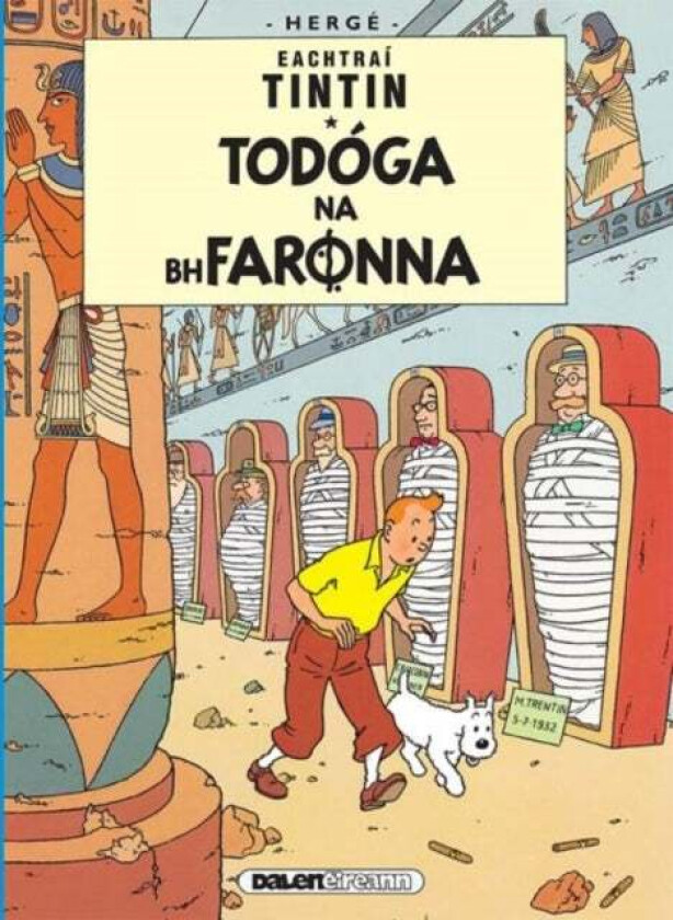 Tintin: Todoga Na Bhfaronna (Irish) av Herge