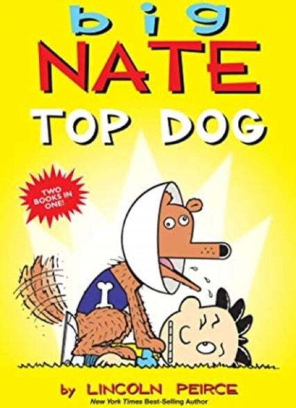 Big Nate: Top Dog av Lincoln Peirce