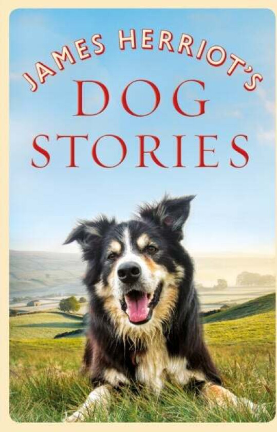 James Herriot's Dog Stories av James Herriot