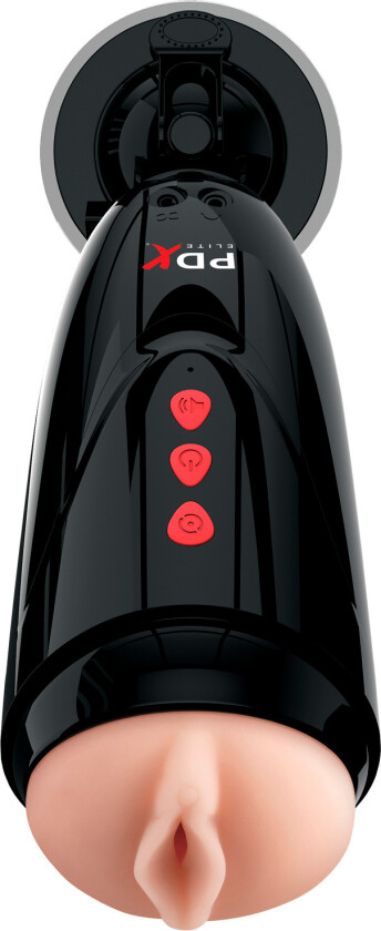 Pipedream PDX Elite Dirty Talk Starter Stroker Masturbator