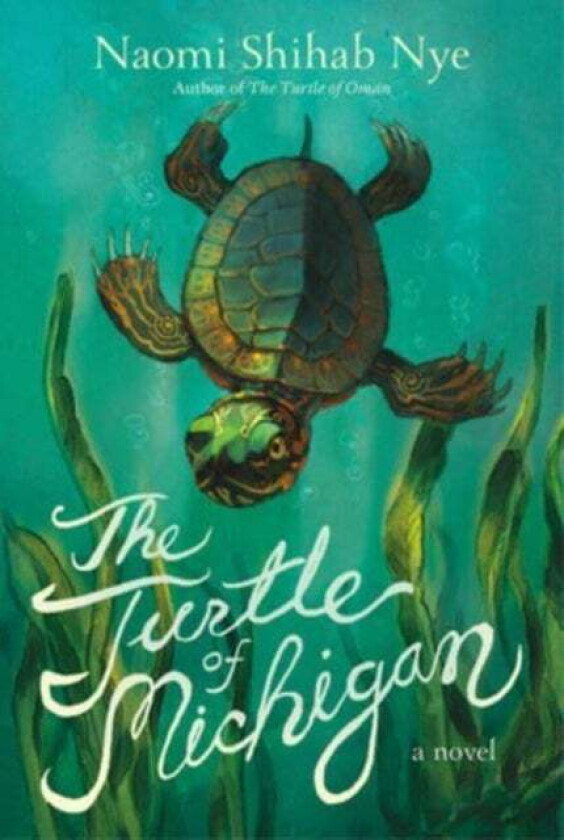The Turtle Of Michigan Av Naomi Shihab Nye