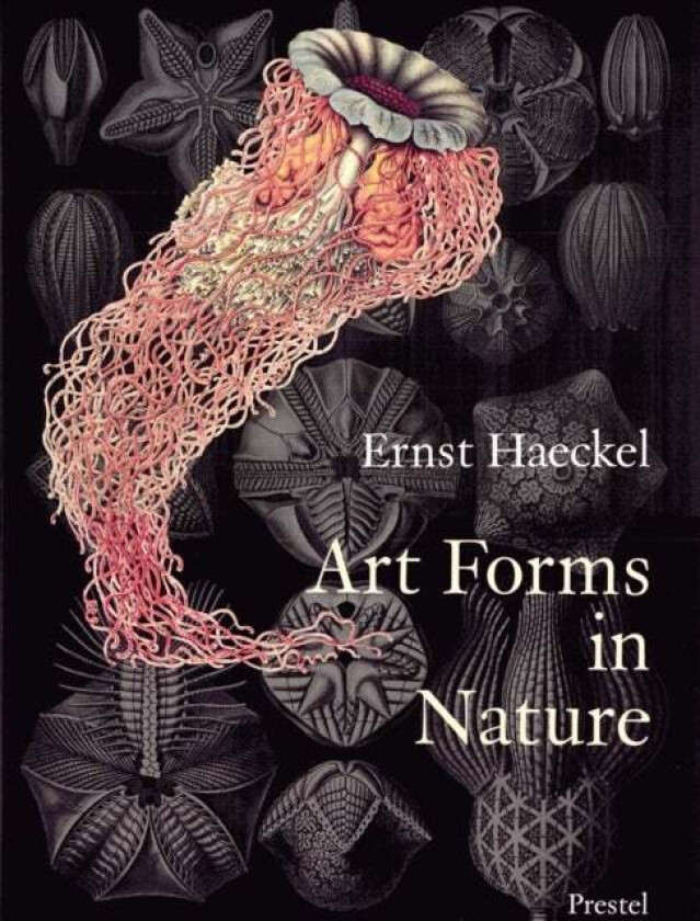Art Forms in Nature av Eibl-Eibersfeldt & Hartmann Breidbach