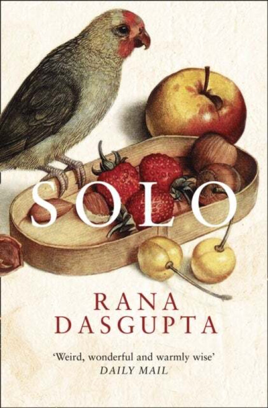 Solo av Rana Dasgupta