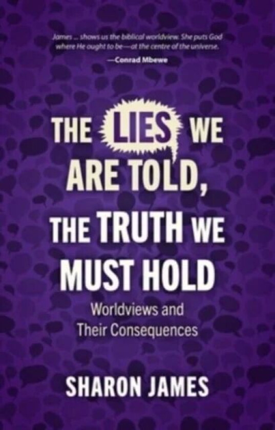Lies We are Told, the Truth We Must Hold av Sharon James