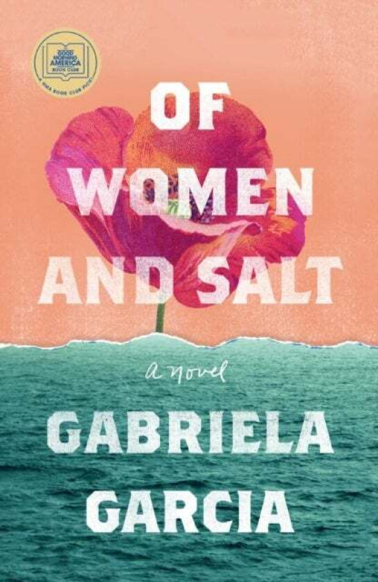 Of Women and Salt av Gabriela Garcia