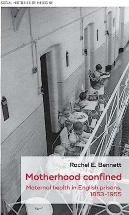 Motherhood Confined Av Rachel E. Bennett