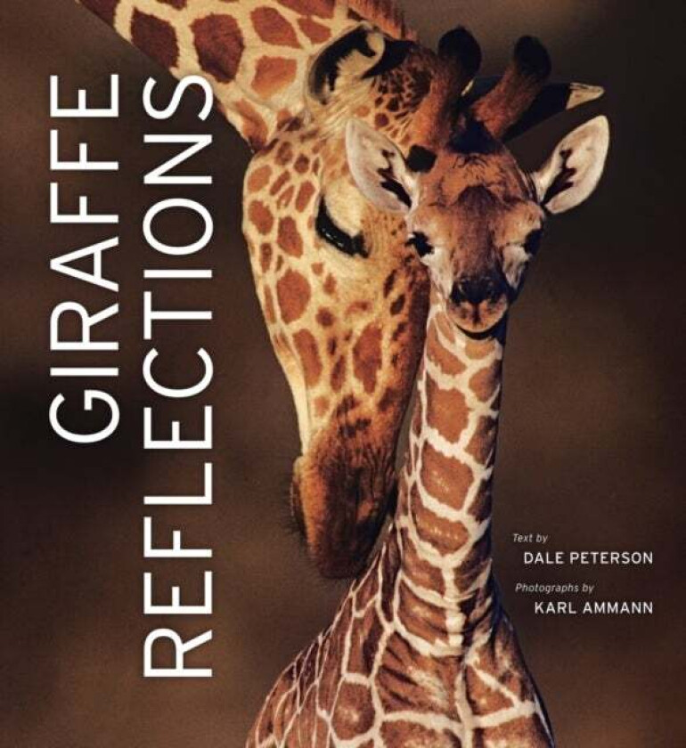 Giraffe Reflections av Dale Peterson