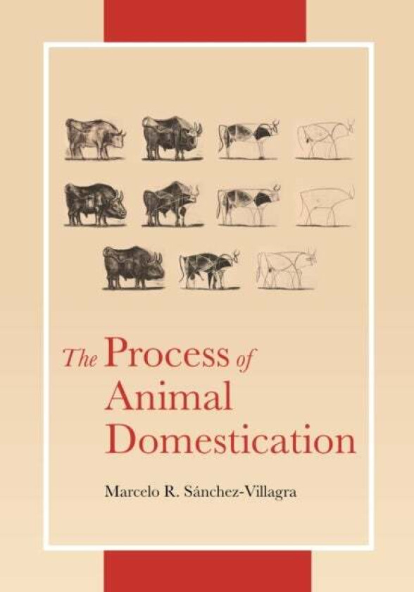 The Process of Animal Domestication av Marcelo Sanchez-Villagra
