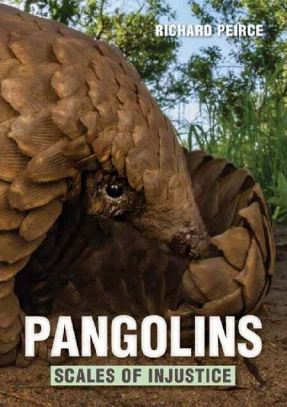 Pangolins av Richard Peirce