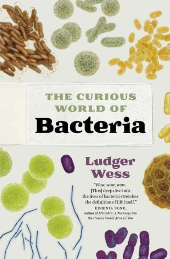 Bacteria av Ludger Wess