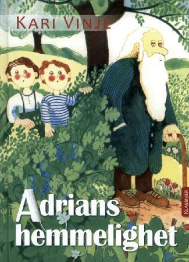Adrians hemmelighet av Kari Vinje