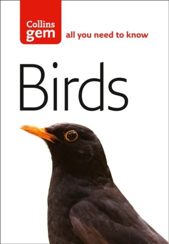 Birds av Jim Flegg