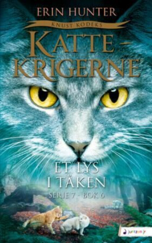 Et lys i tåken av Erin Hunter