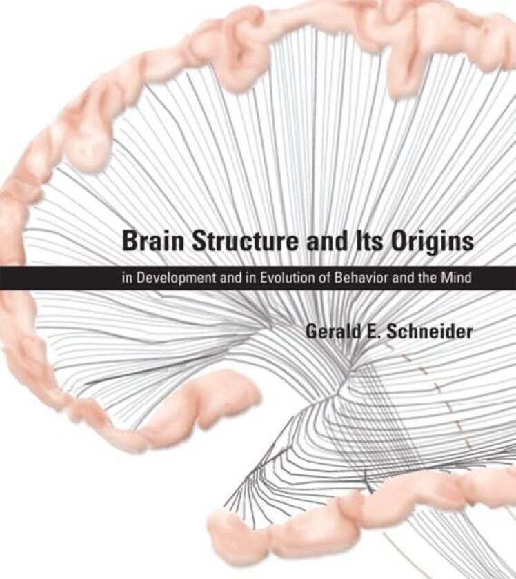 Brain Structure and Its Origins av Gerald E. (Professor Massachusetts Institute of Technology) Schneider