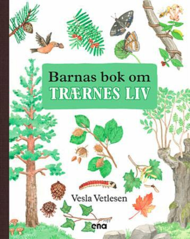 Barnas bok om trærnes liv av Vesla Vetlesen