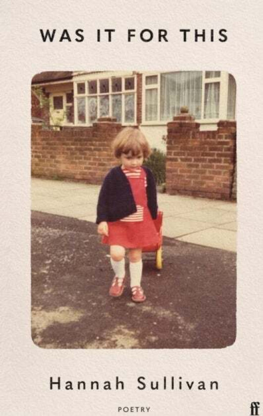 Was It for This av Hannah Sullivan