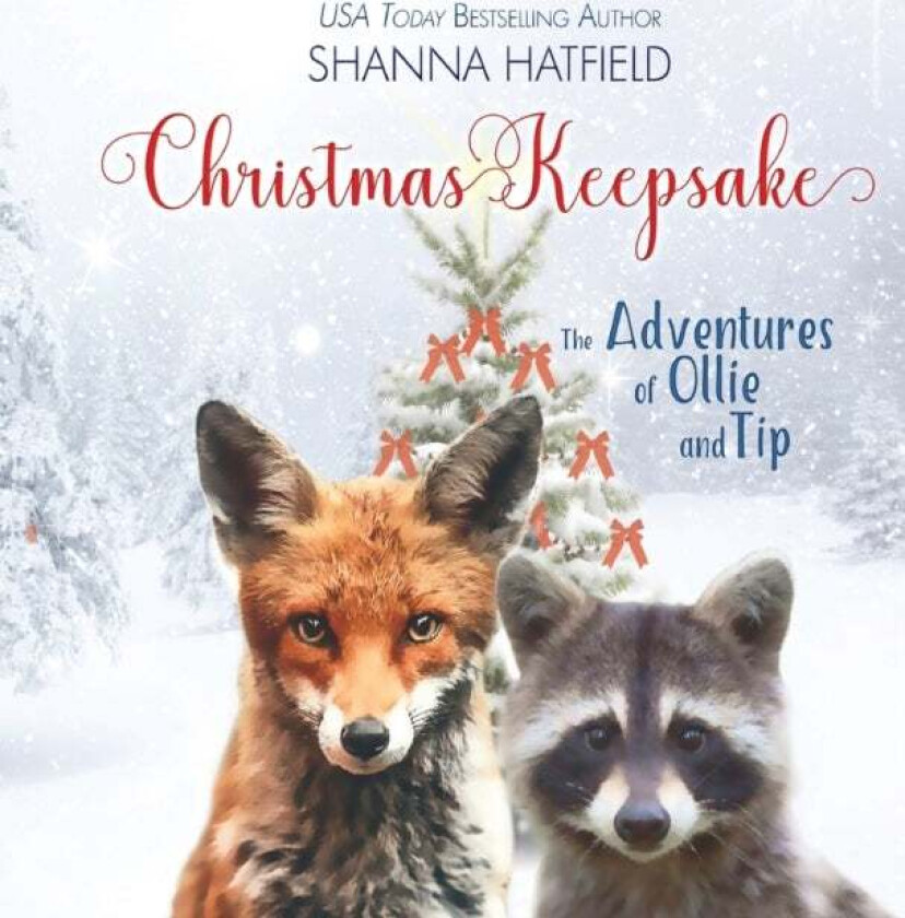 Christmas Keepsake av Shanna Hatfield