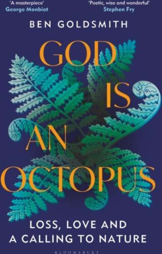God Is An Octopus av Ben Goldsmith