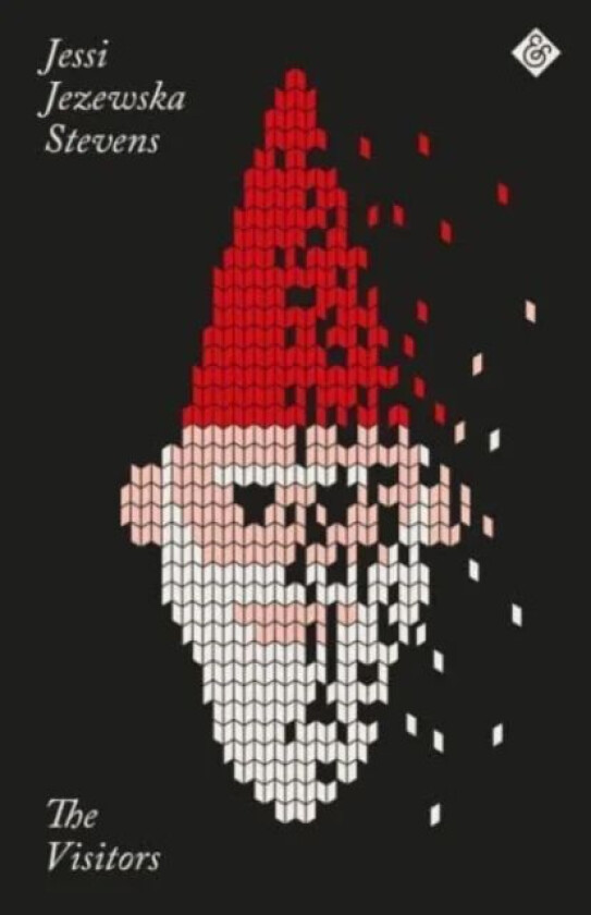 The Visitors (Paperback Edition) av Jessi Jezewska Stevens