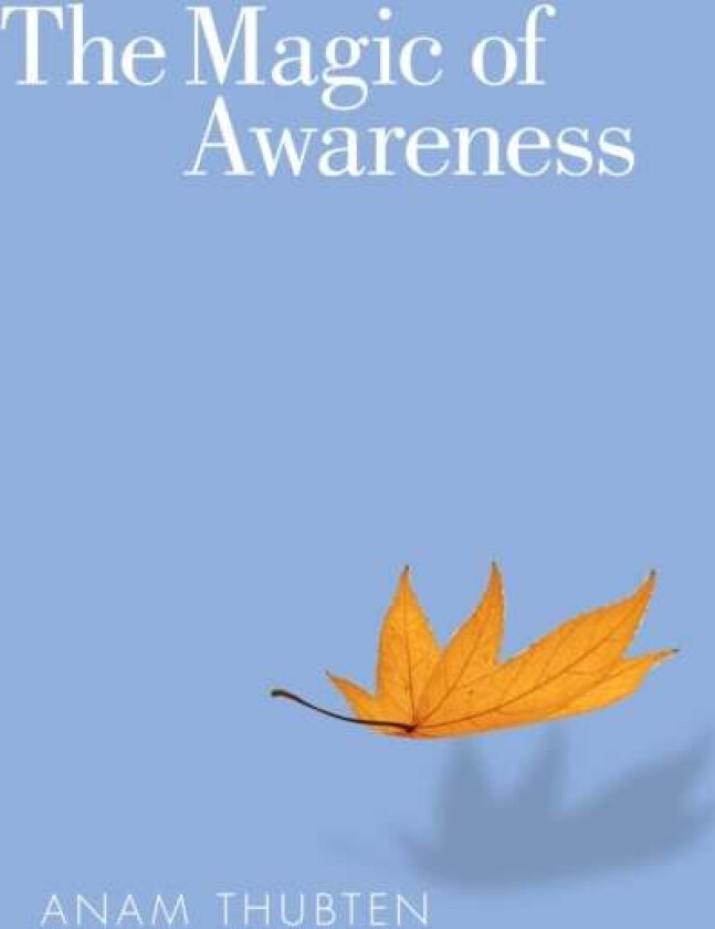 The Magic of Awareness av Anam Thubten