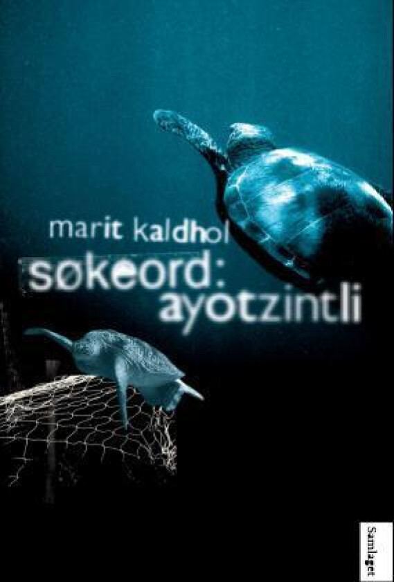 Søkeord: ayotzintli av Marit Kaldhol