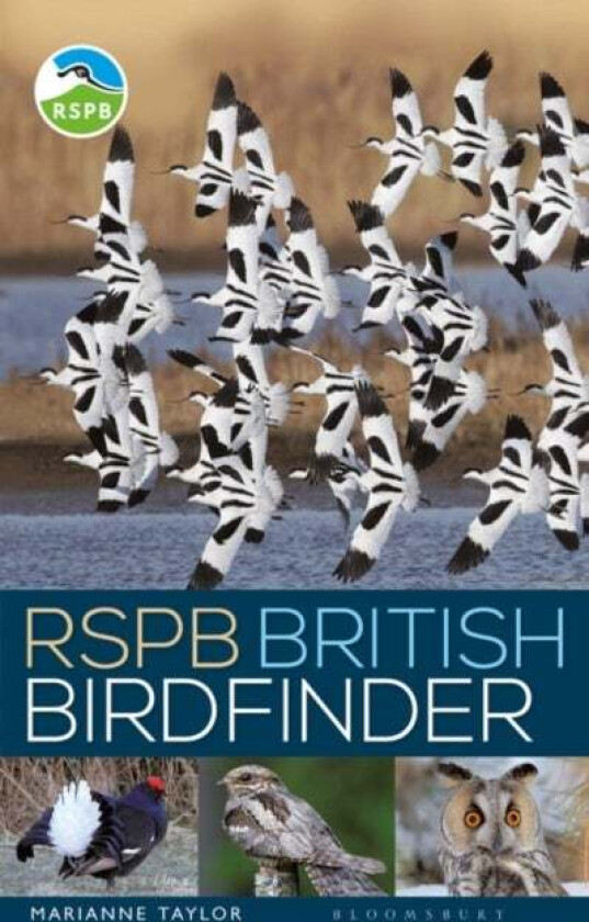 RSPB British Birdfinder av Marianne Taylor