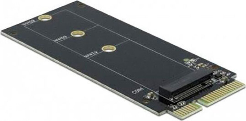 DeLock M.2 til SATA SSD-adapter (22-pinners)