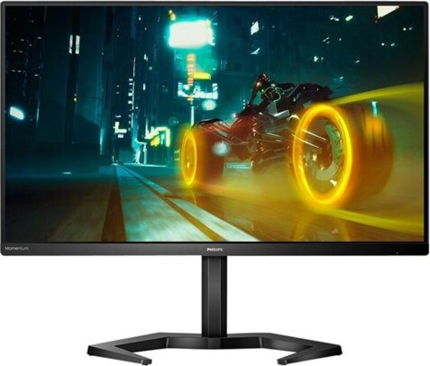 Momentum 24" Led 165hz 1ms Fhd Ips Amd Freesync Premium & G-Sync G