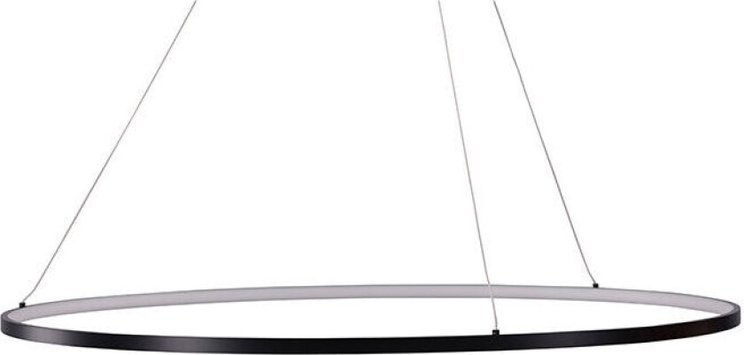 Rödäng belysning pendel lys 100x100x6cm svart.